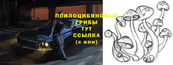 мдпв Балахна