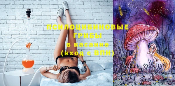 гашиш Няндома