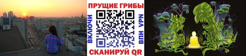 Галлюциногенные грибы Psilocybine cubensis  Купить закладки  Шиханы 